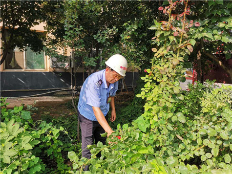 河南偉志模板來保軍——美麗的花園，來自辛勤的勞動