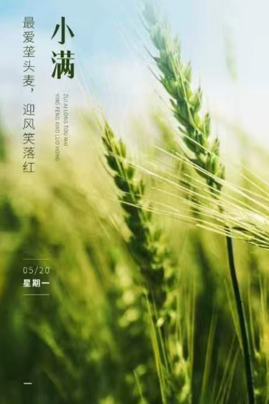小滿即安，未來可期！