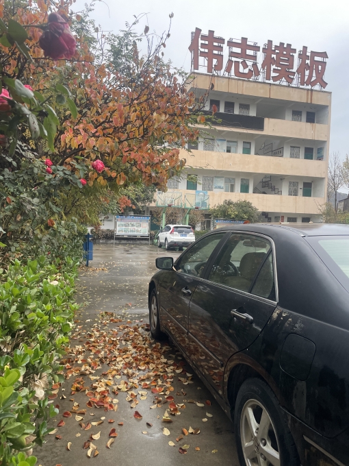 偉志模板溫馨提示:注意大風降溫天氣!